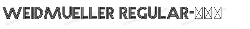 Weidmueller Regular字体转换